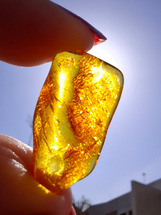 Baltic Amber, 1.11g, Fossil (Ref: A255)
