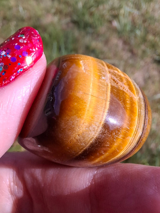Tigers Eye, Tumble Stone, Crystal (Ref: T134)