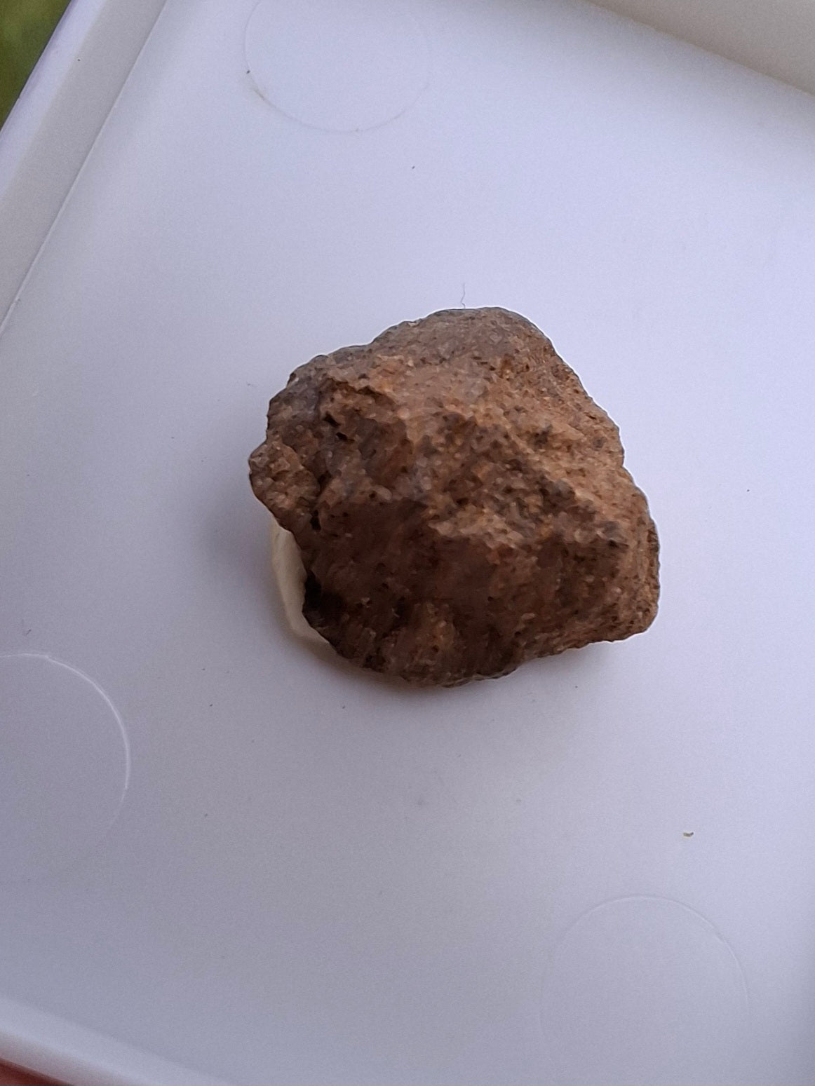 Chondrite, Meteorite (Ref: CM9)