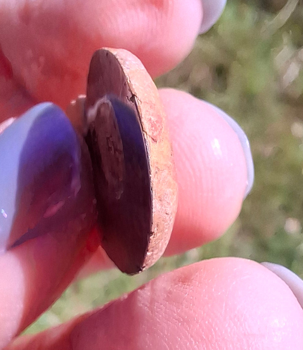 Small Haematite Ammonite HALF, (2.91g), Fossil (Ref: MA1)