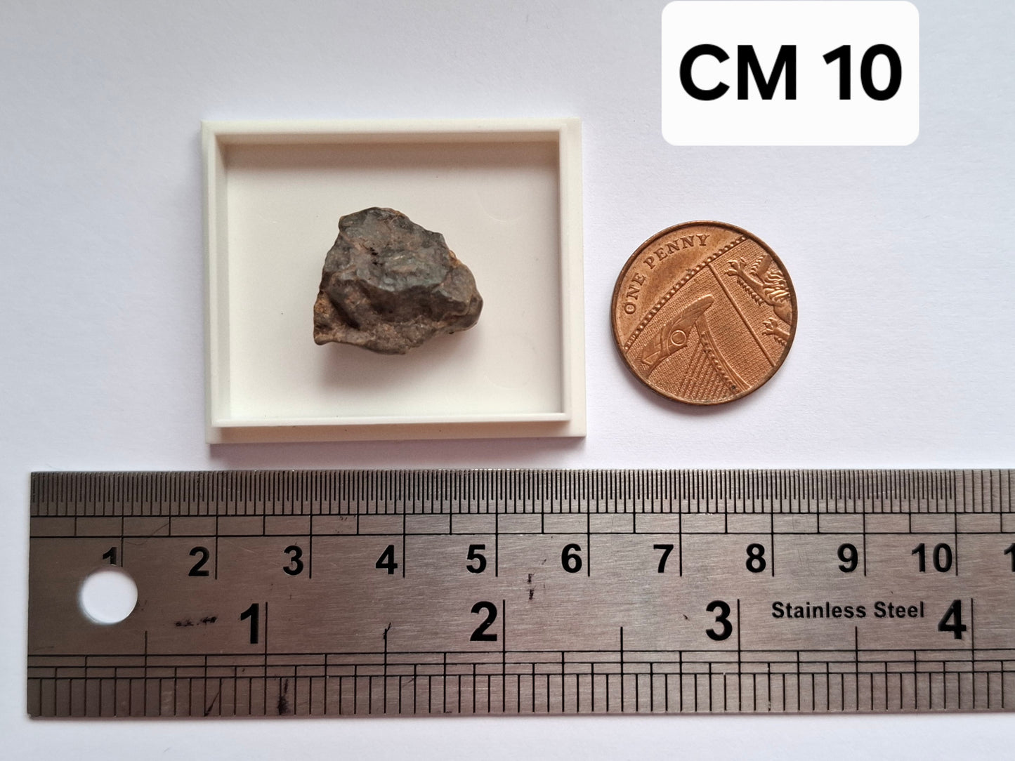 Chondrite, Meteorite (Ref: CM10)