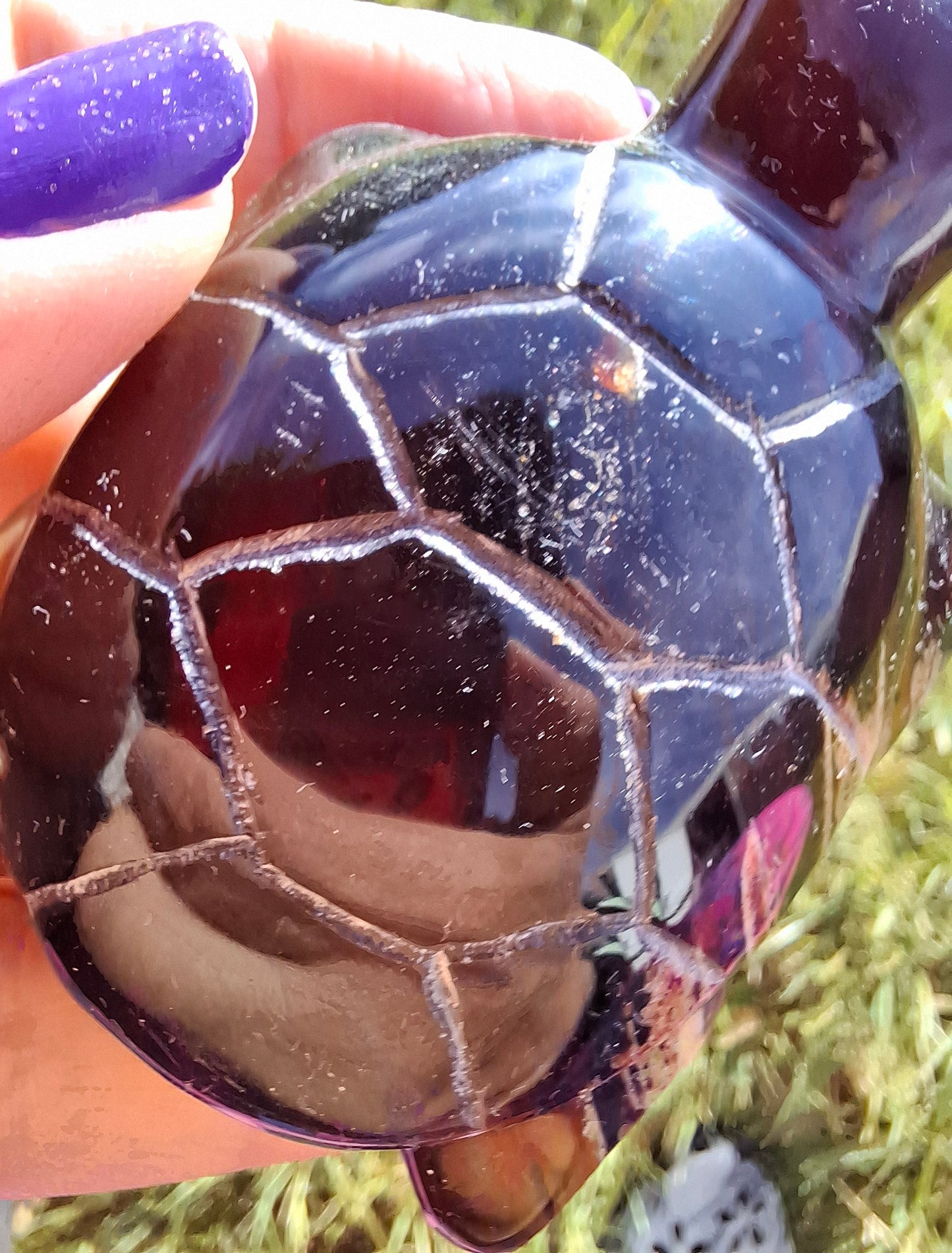 Red Amber Turtle, 47.85g, Carving, Fossil (Ref: TT4)