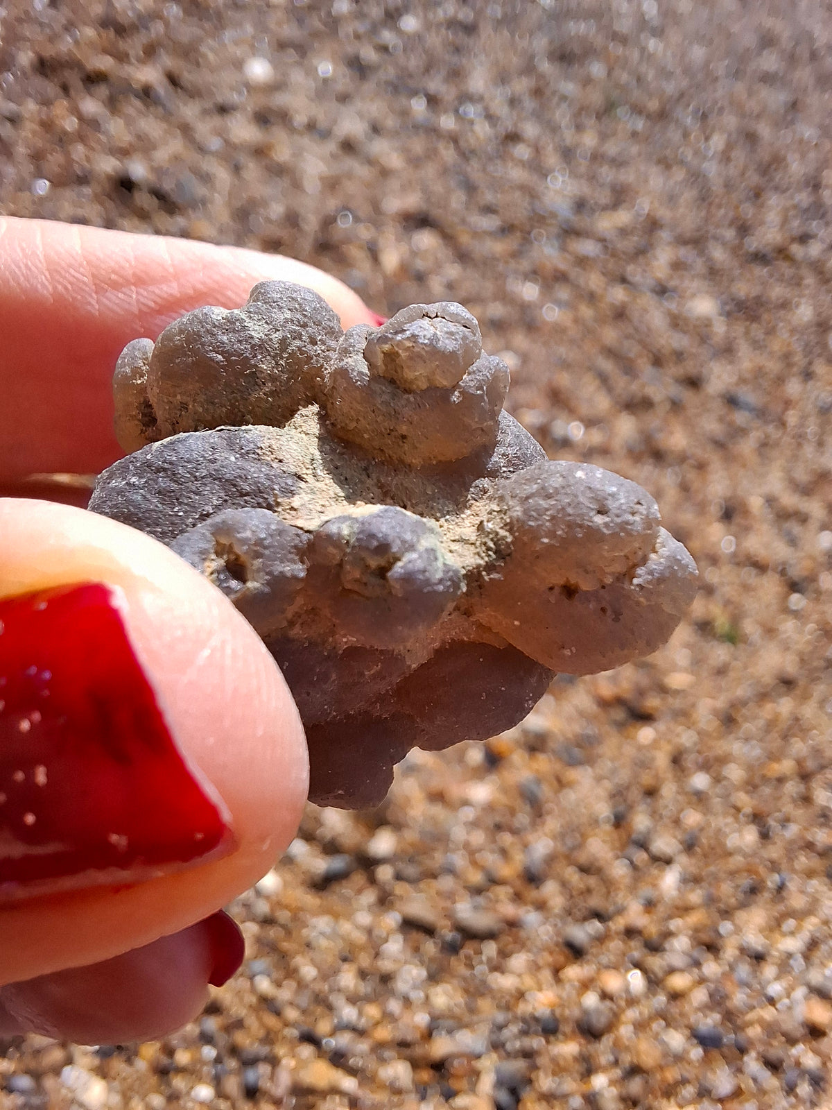 Nebula Chalcedony, 13.45g, Fossil (Ref: NC2)