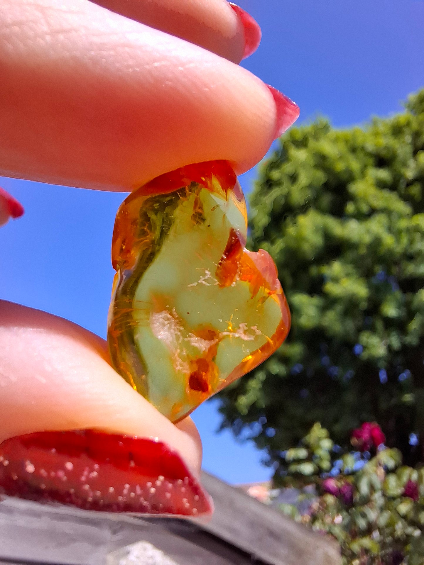 Baltic Amber, 1.31g, Fossil (Ref: A234)