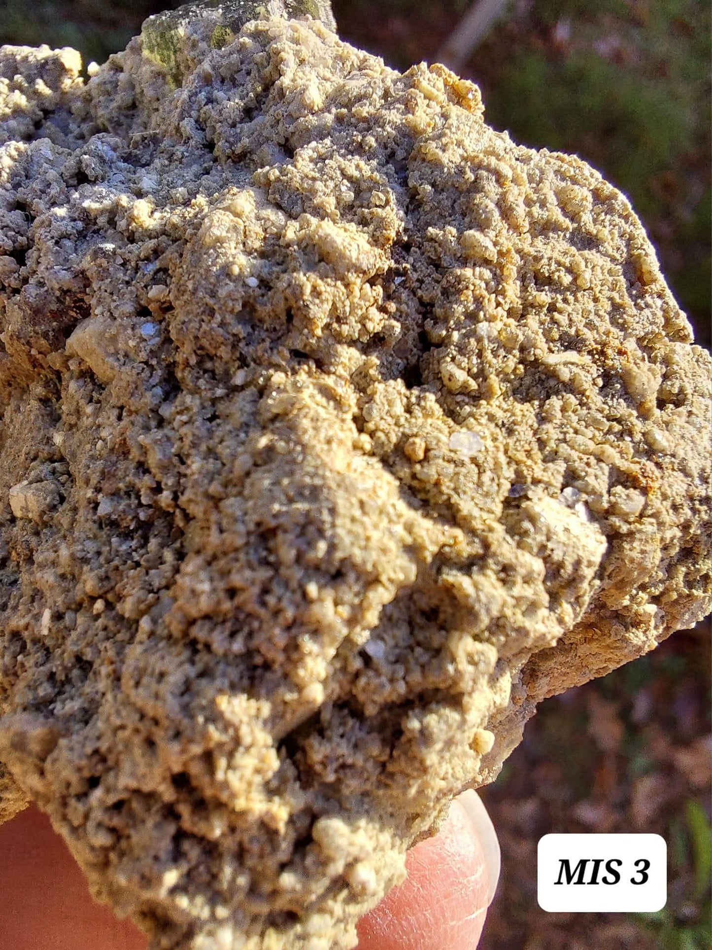Moldavite In-Situ (in matrix), Besednice, Est- 3g, Tektite (Ref: MIS3)