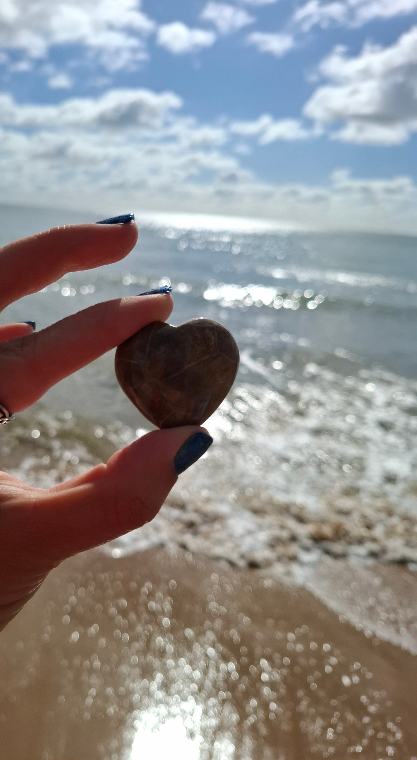 Fossil Coral Heart (Ref: CoH3)