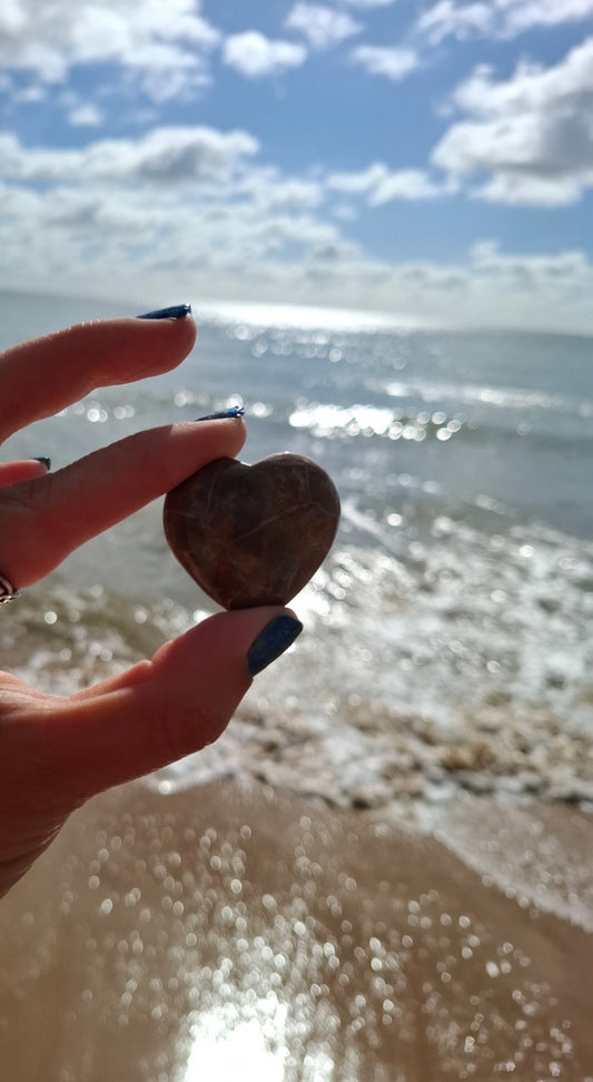 Fossil Coral Heart (Ref: CoH3)