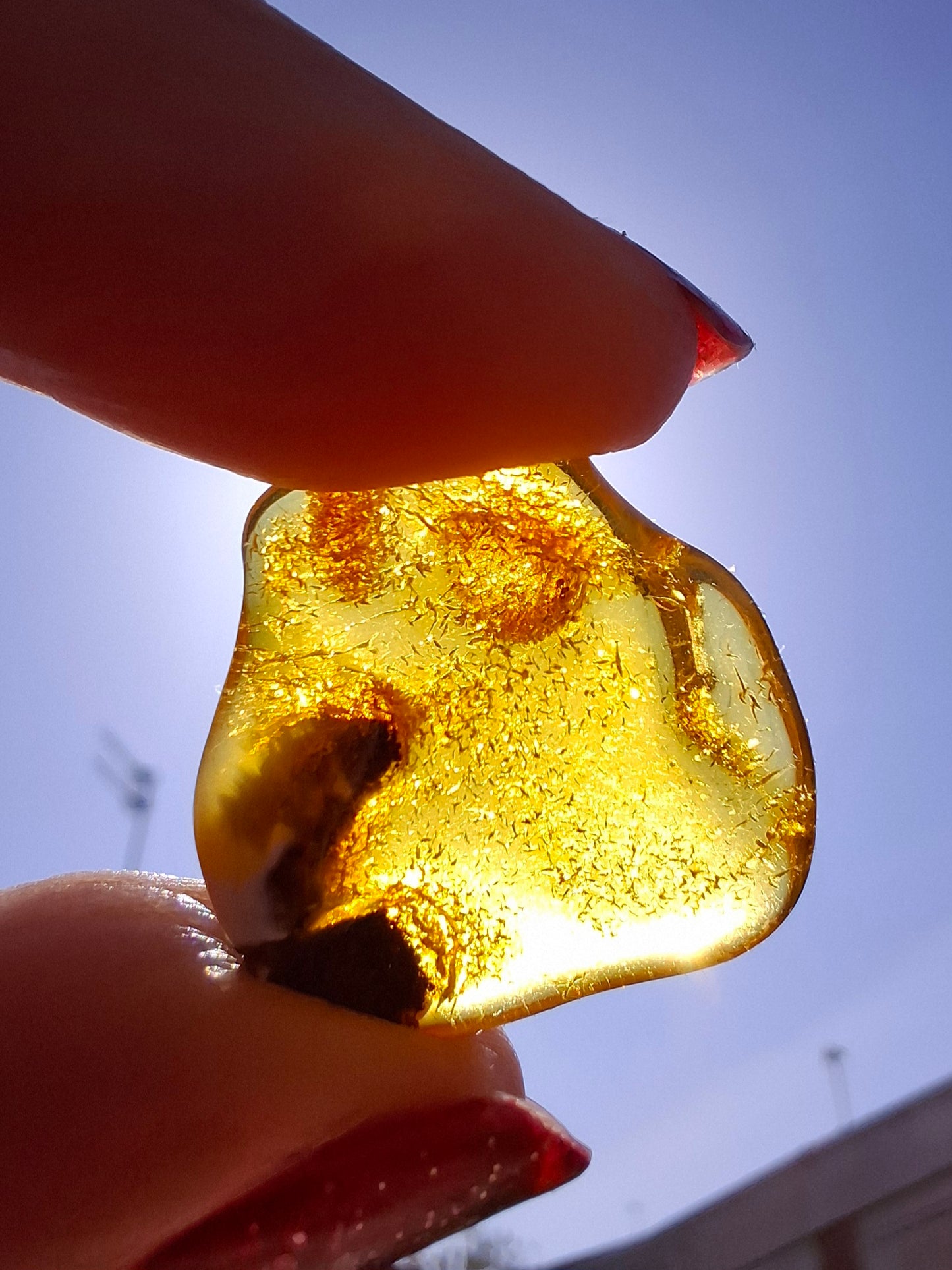 Baltic Amber, 1.45g, Fossil (Ref: A76)