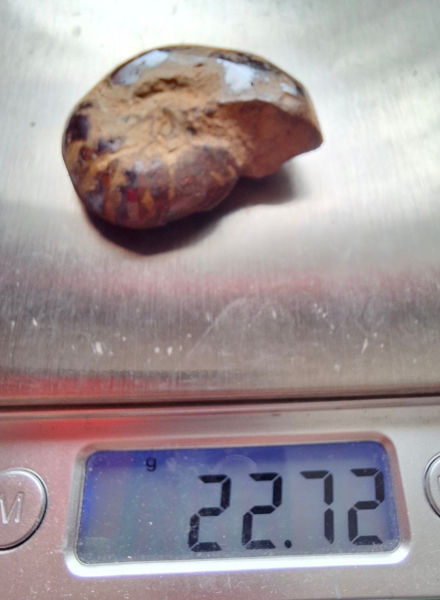 Hematite Ammonite, 22.72g, Fossil (Ref: HA2)