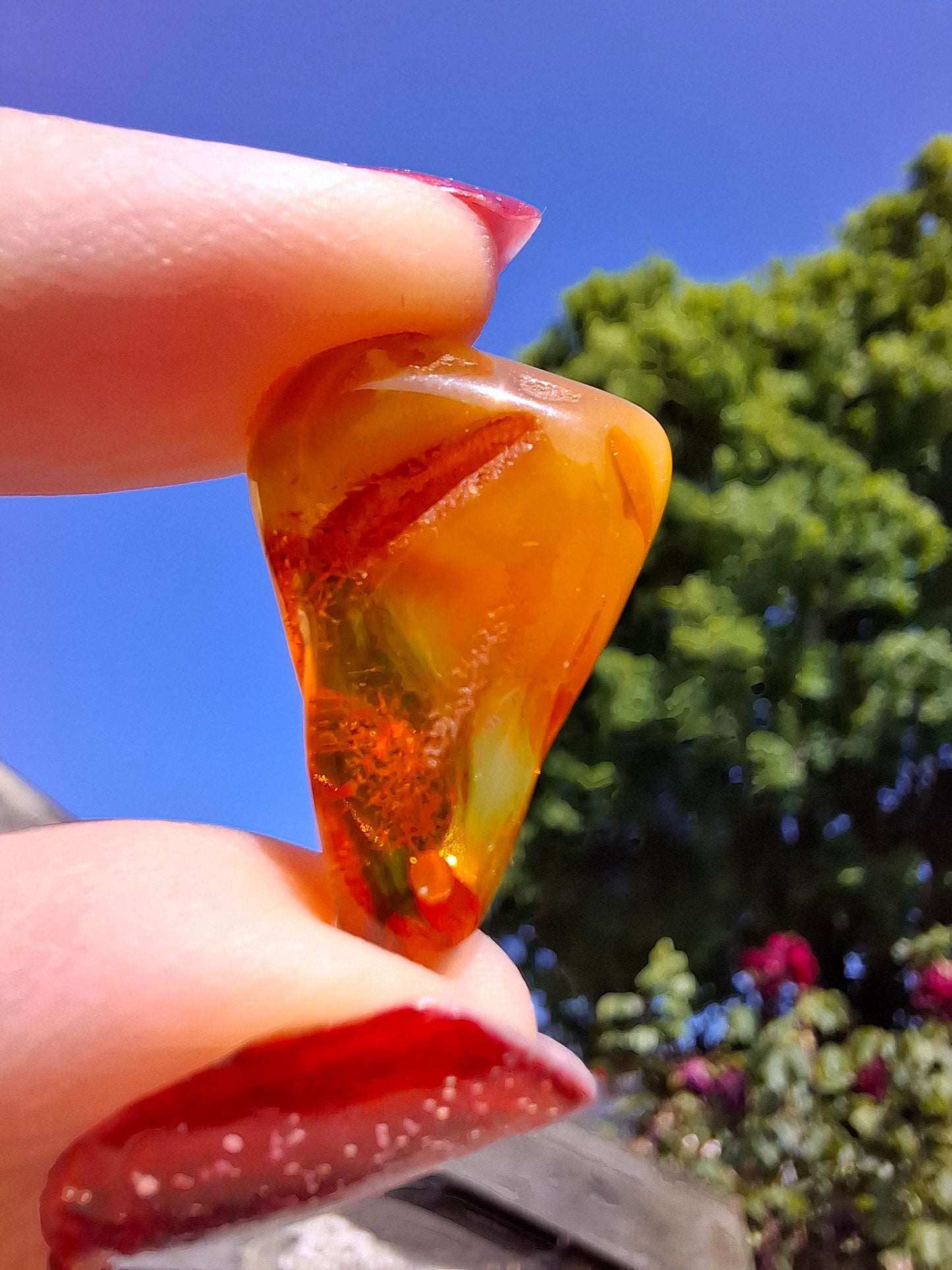 Baltic Amber, 1.52g, Fossil (Ref: A189)