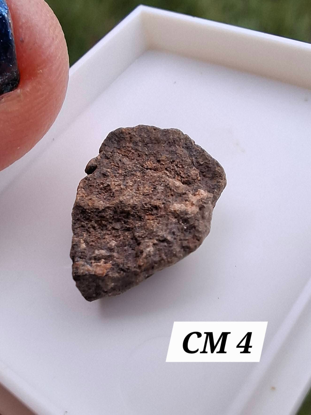 Chrondrite, Meteorite (Ref: CM4)