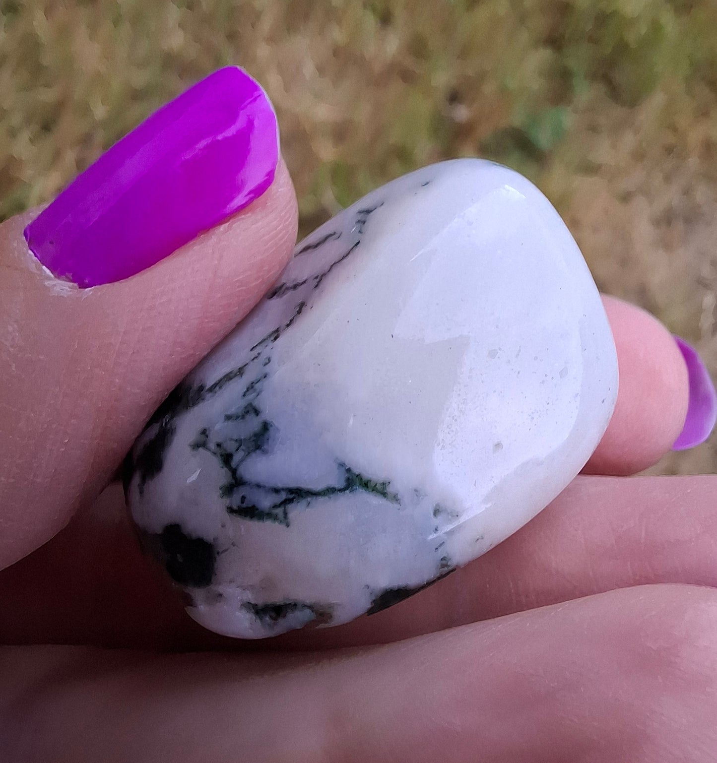 Tree Agate, Tumble Stone, Crystal (Ref: T1)