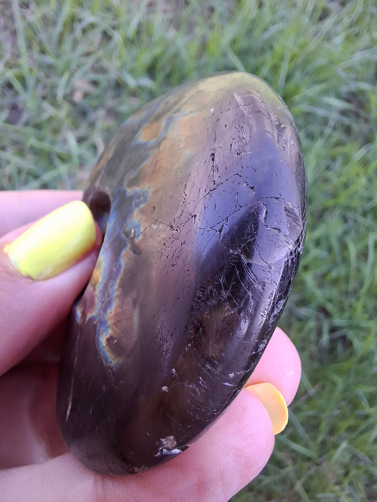 Labradorite Ammonite Carving, 89.31g, Crystal (Ref: laba6)
