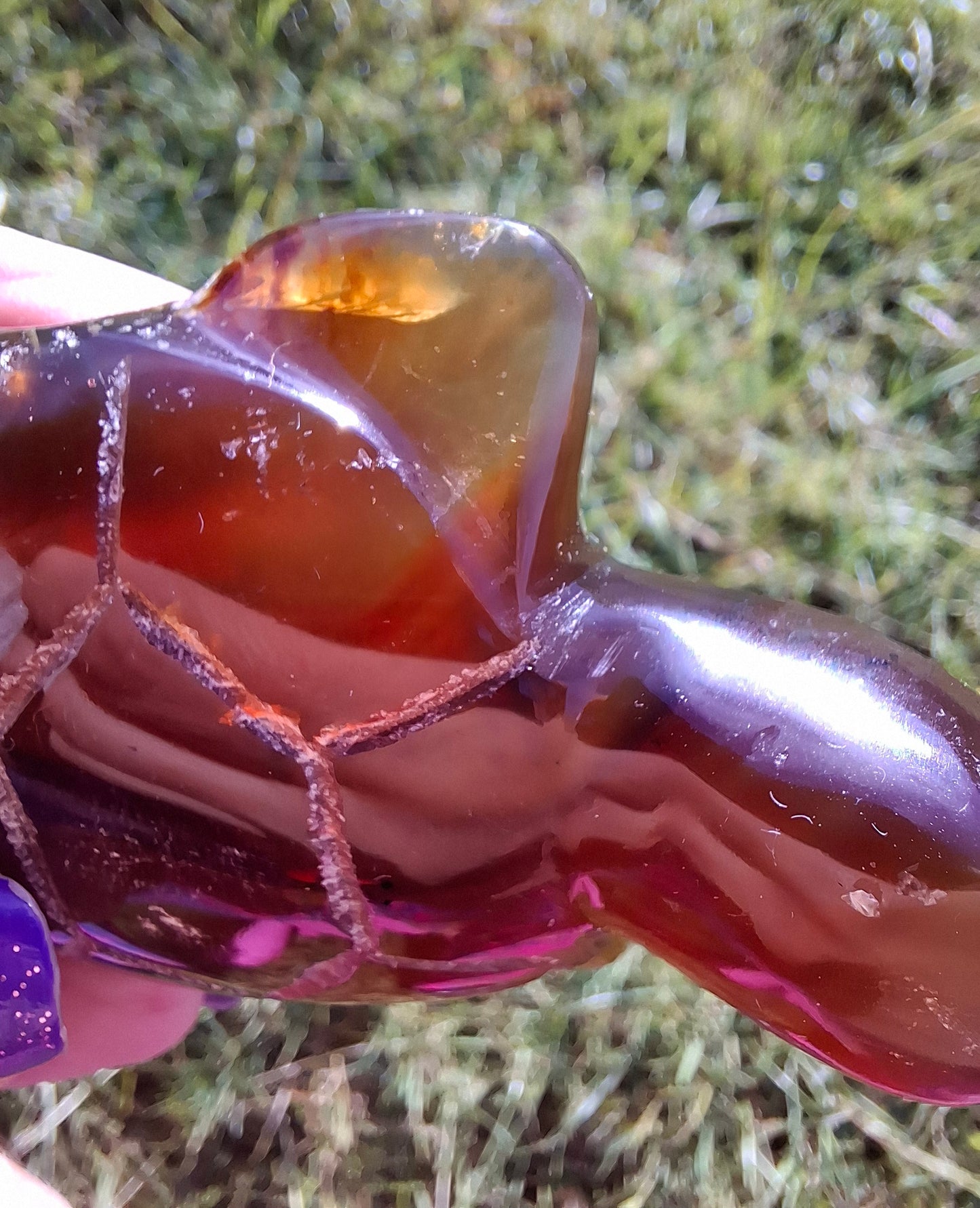Red Amber Turtle, 49.15g, Carving, Fossil (Ref: TT1)