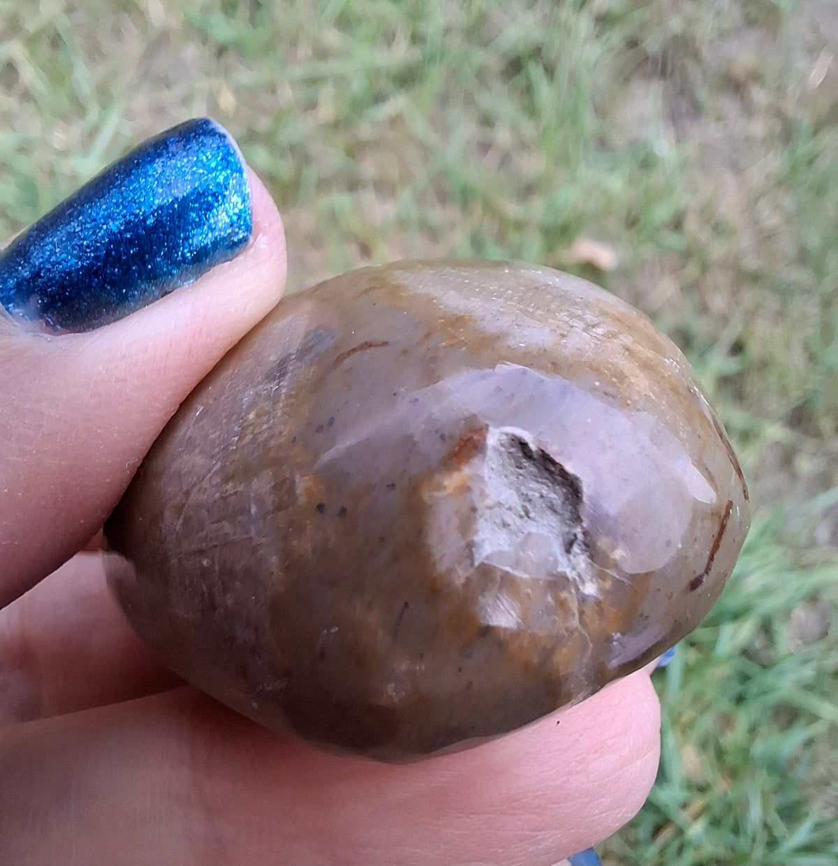 Polished Sea Urchin, Fossil (Ref: SU3)