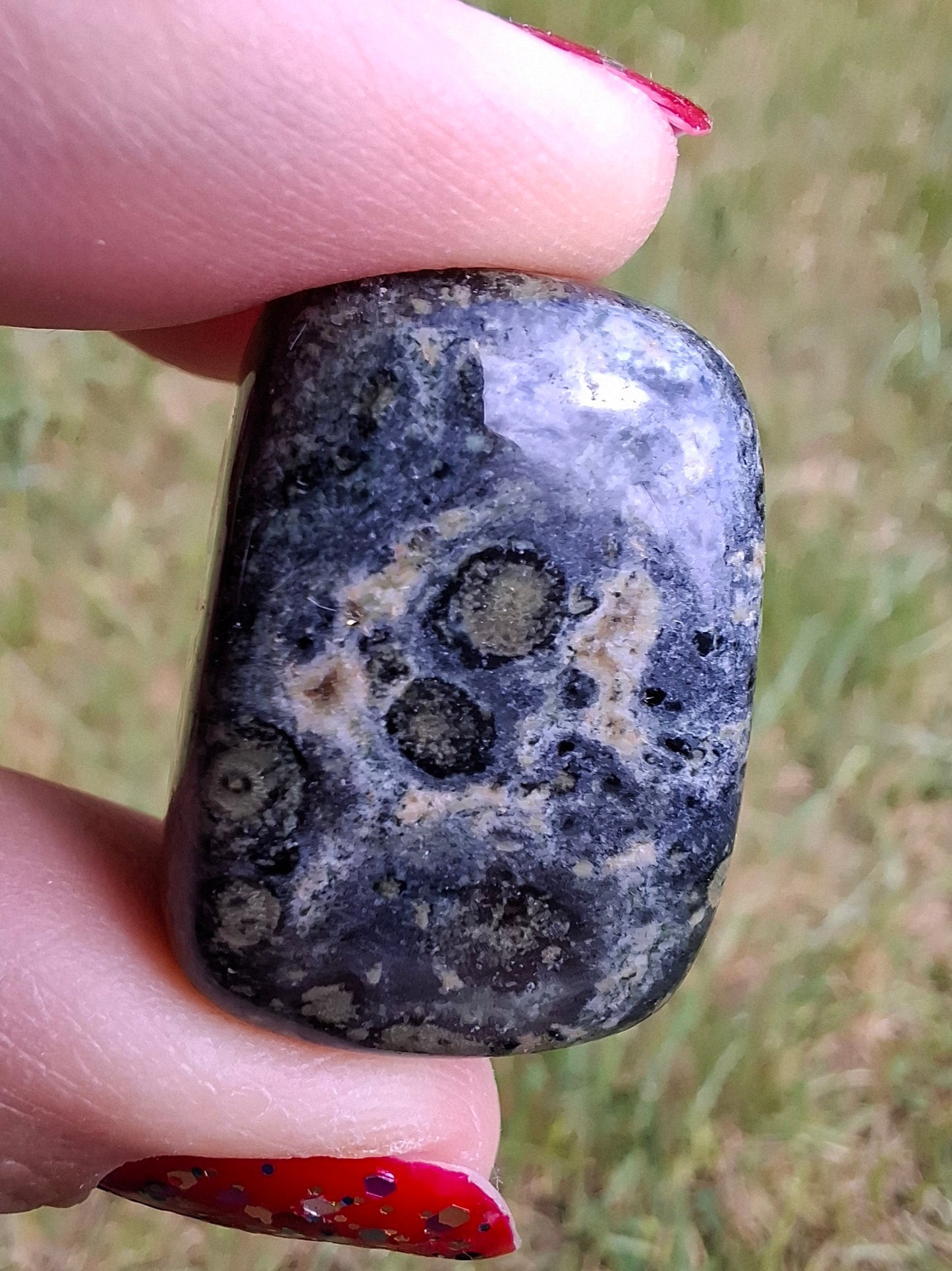 Kambaba Jasper, Tumble Stone, Crystal (Ref: T164)