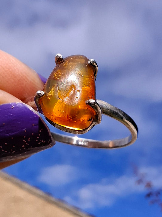 Baltic Amber Ring, size large V, 925 Silver, Fossil (Ref: AR24)