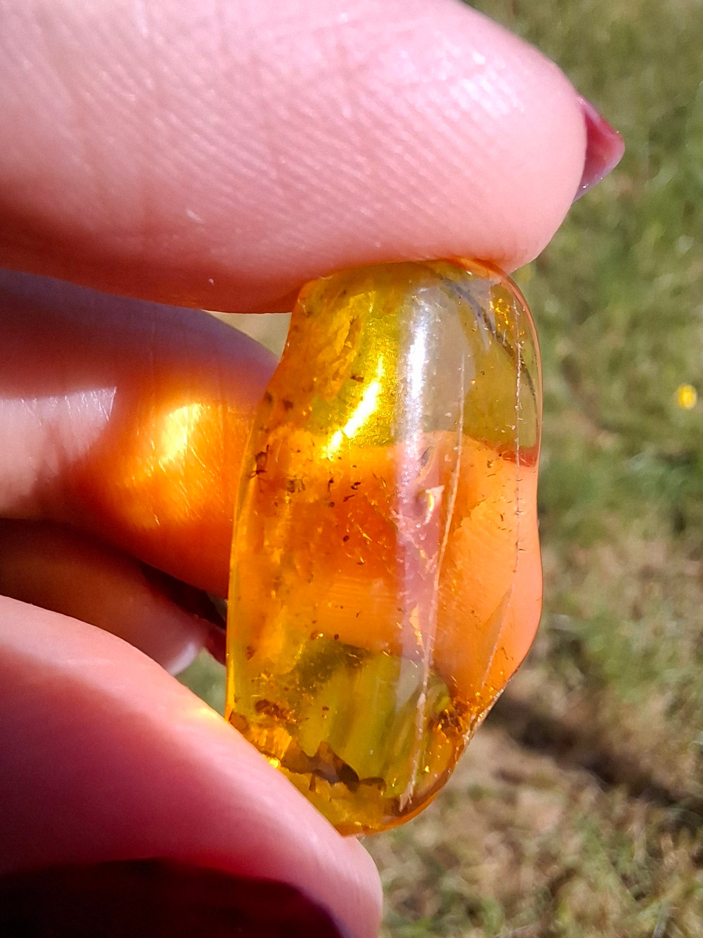 Baltic Amber, 1.23g, Fossil (Ref: A237)