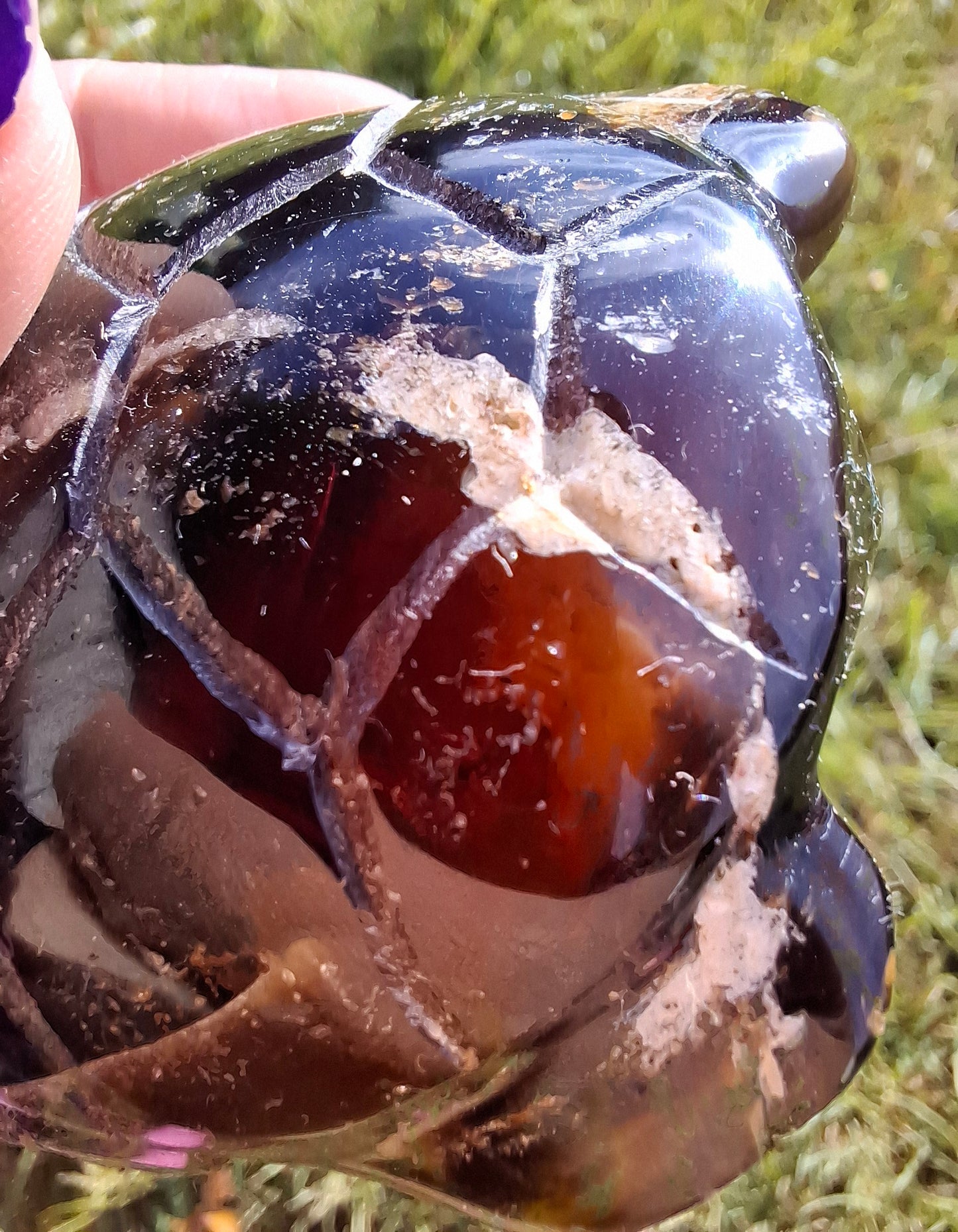 Red Amber Turtle, 50.00g, Carving, Fossil (Ref: TT6)