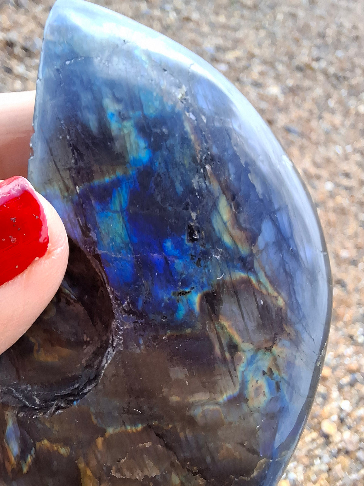 Labradorite Ammonite Carving, 153.97g, Crystal (Ref: laba2)