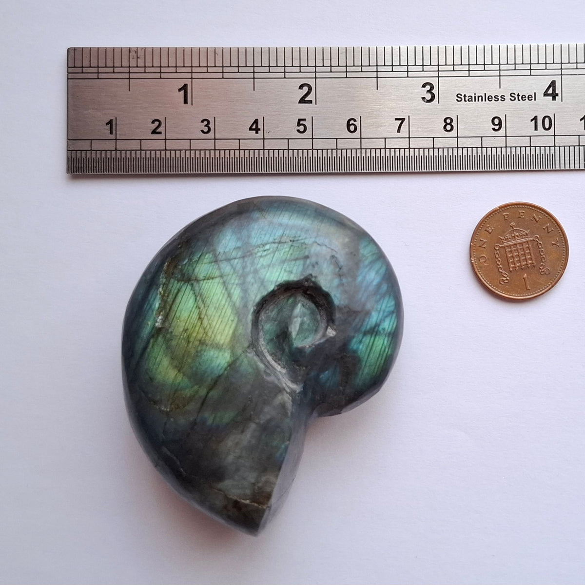 Labradorite Ammonite Carving, 111.66g, Crystal (Ref: laba3)