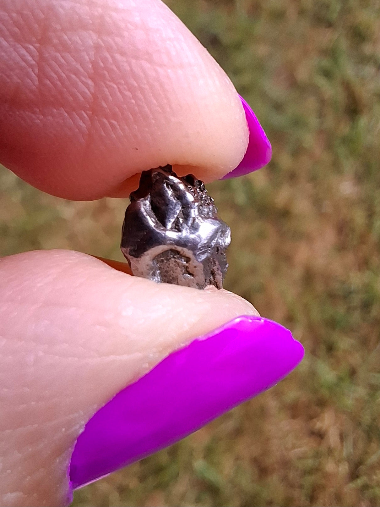 Campo del Cielo, 0.87g, Nickel Iron Meteorite (Ref: C4)
