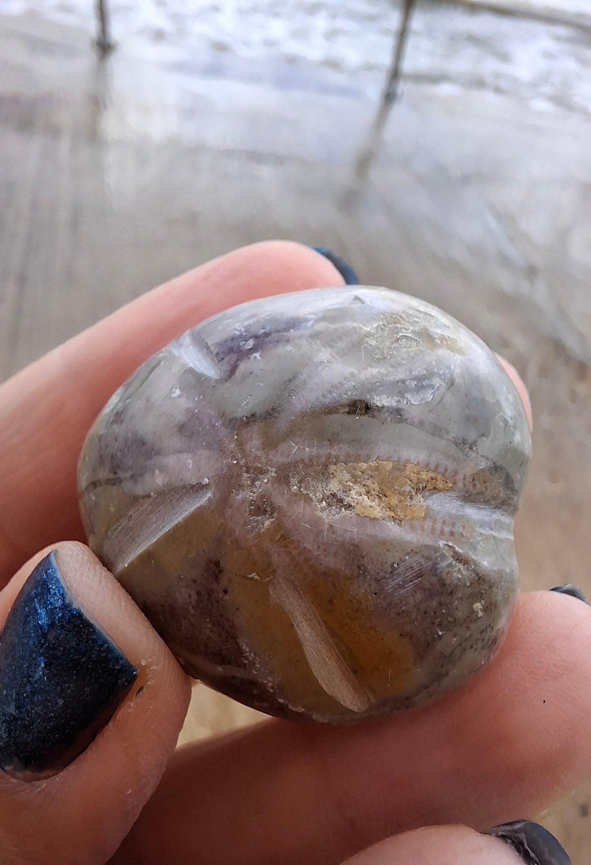Polished Sea Urchin, Fossil (Ref: SU6)