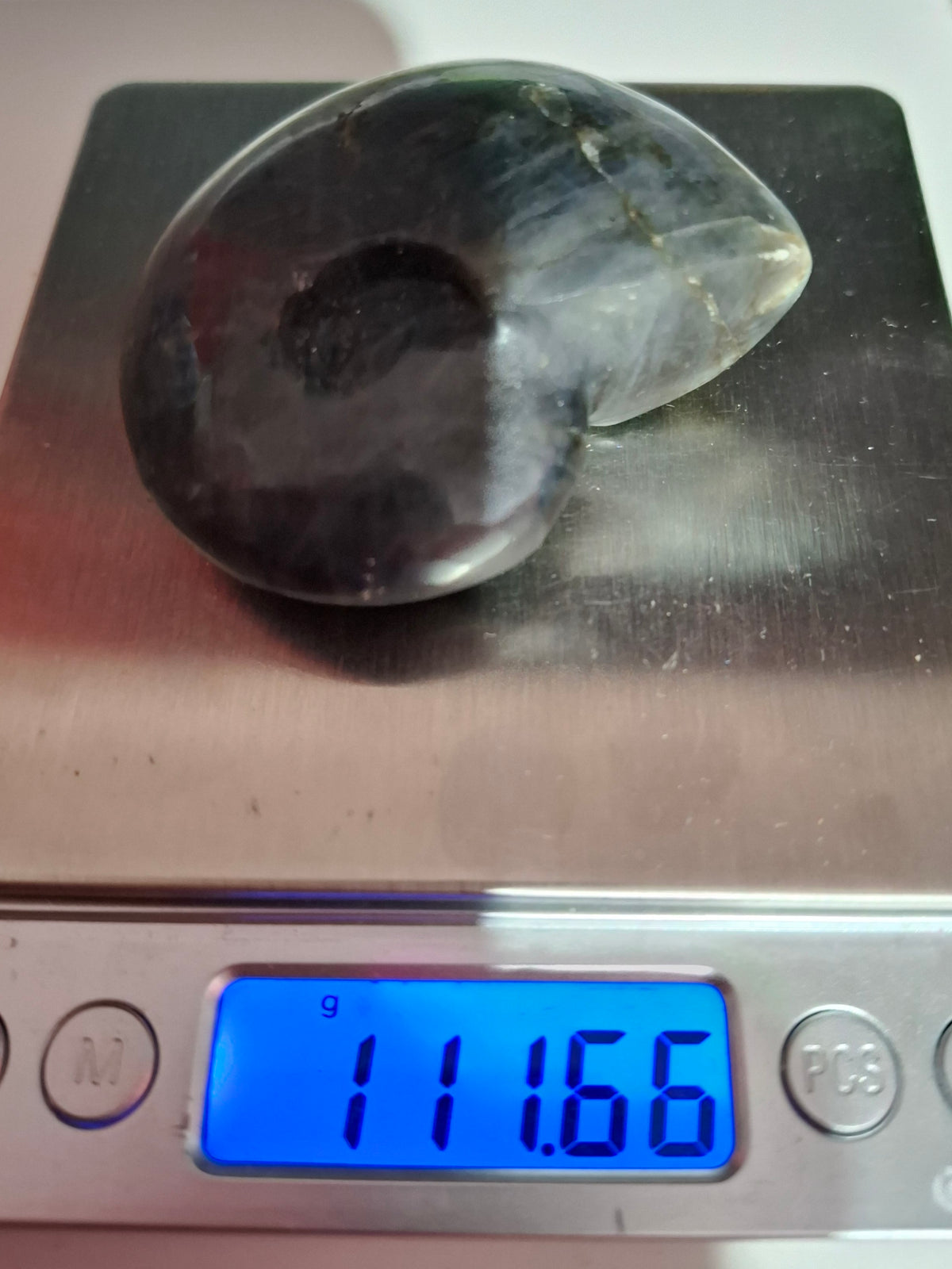 Labradorite Ammonite Carving, 111.66g, Crystal (Ref: laba3)