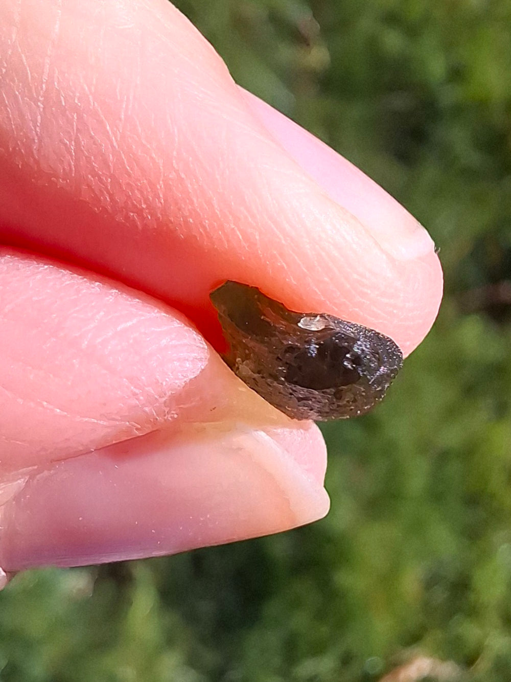 Moldavite Small Piece. 0.35g, Tektite (Ref: 1329)