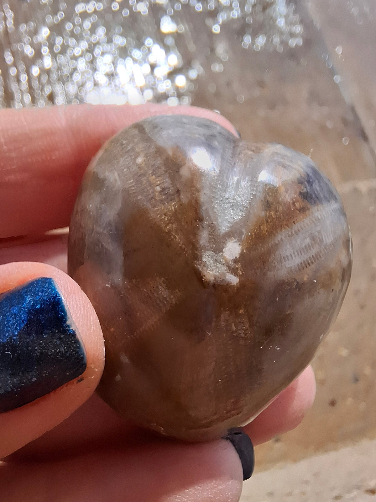 Polished Sea Urchin, Fossil (Ref: SU3)