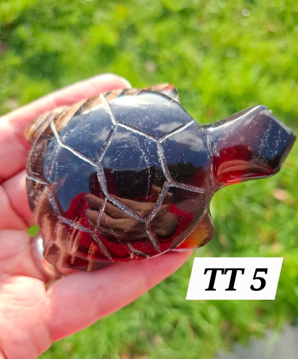 Red Amber Turtle, 59.07g, Carving, Fossil (Ref: TT5)