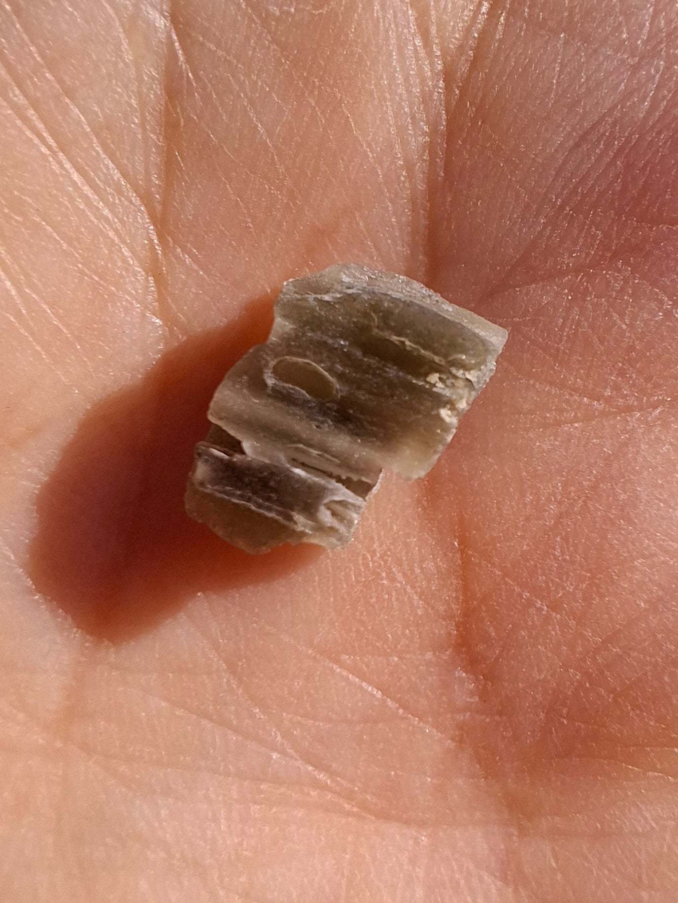 Moldavite Piece, SNOWFLAKE, FROSTED, BRUSNA, Tektite (Ref: 1495)