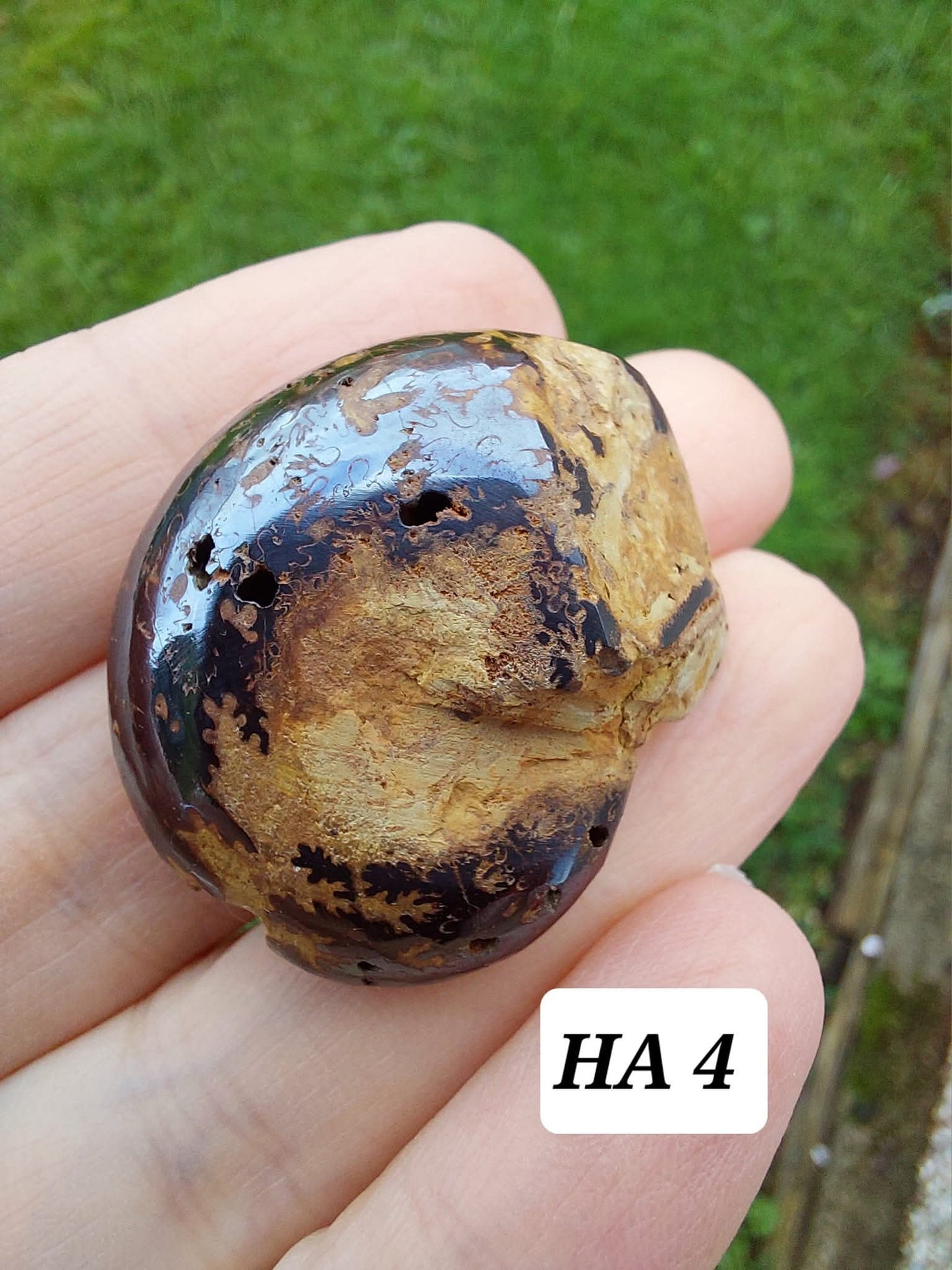Hematite Ammonite, 18.26g, Fossil (Ref: HA4)