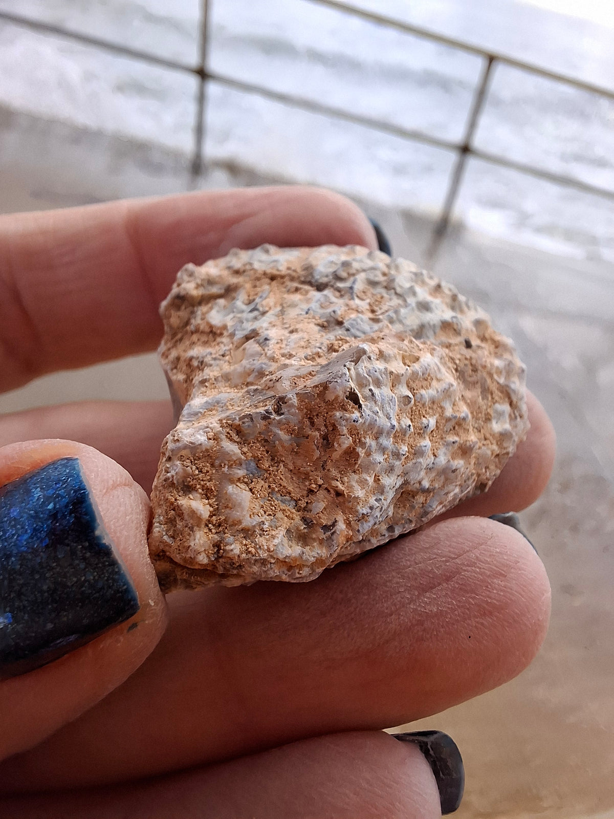 Chalcedony Oyster, Fossil (Ref: FO8)