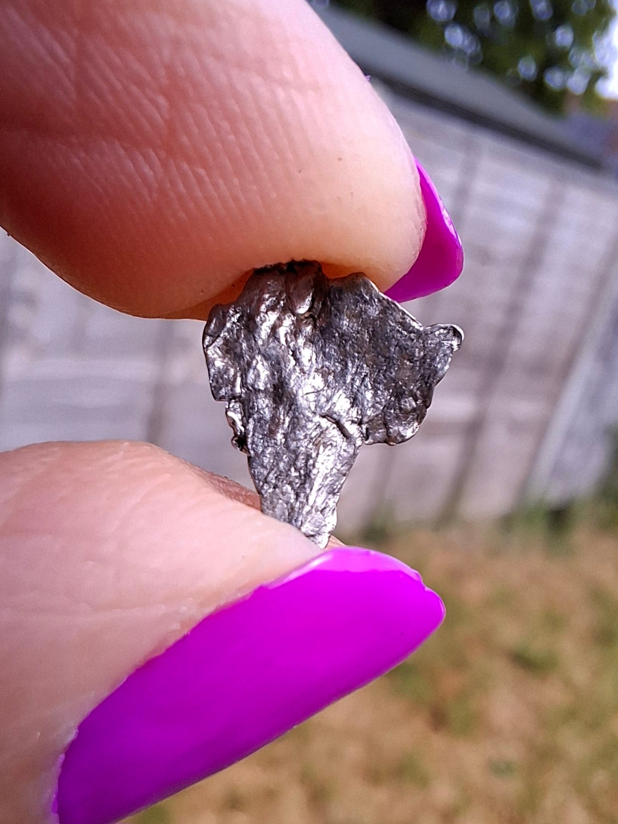 Campo del Cielo, 0.37g, Nickel Iron Meteorite (Ref: C13)