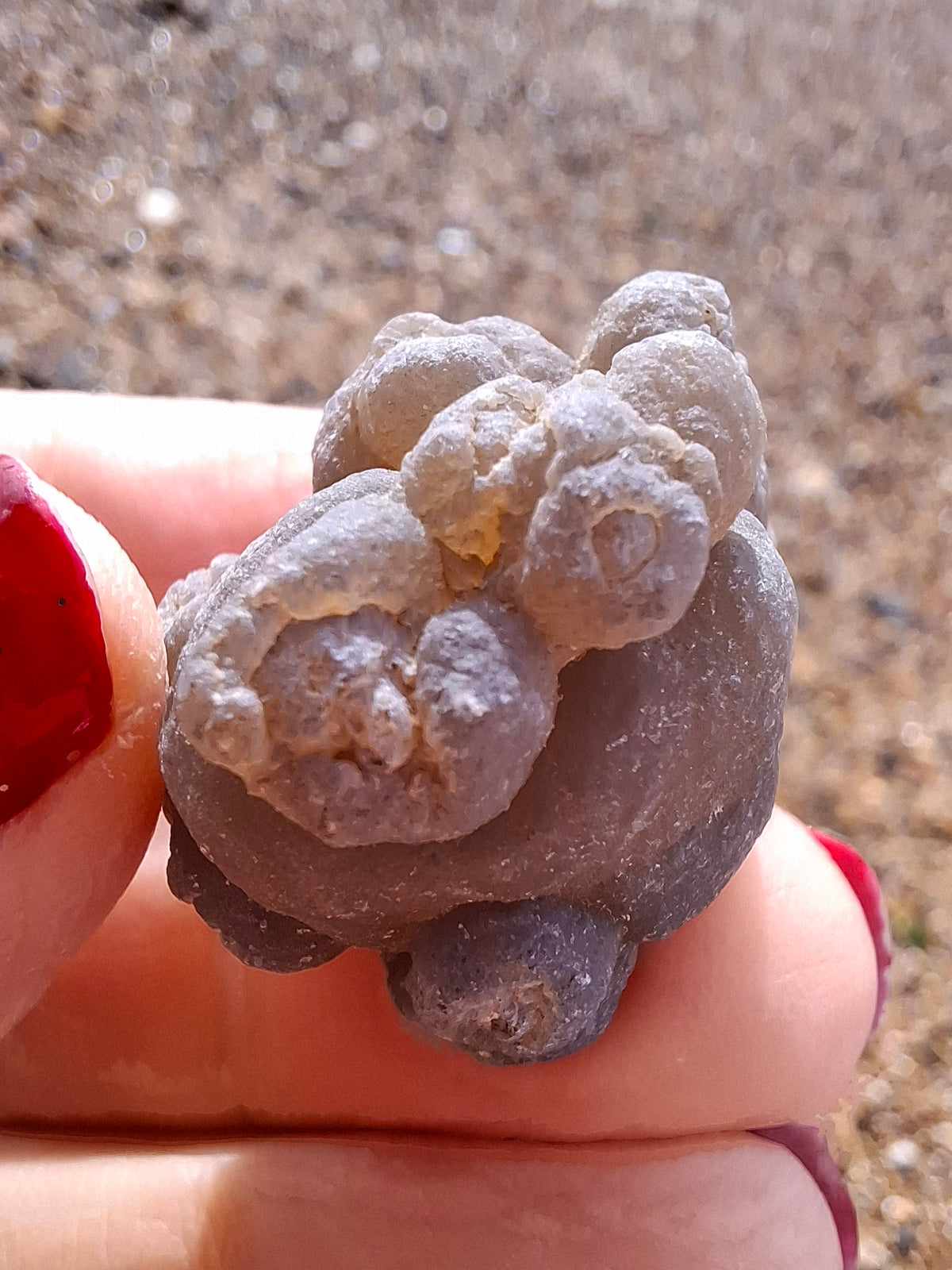 Nebula Chalcedony, 16.57g, Fossil (Ref: NC10)