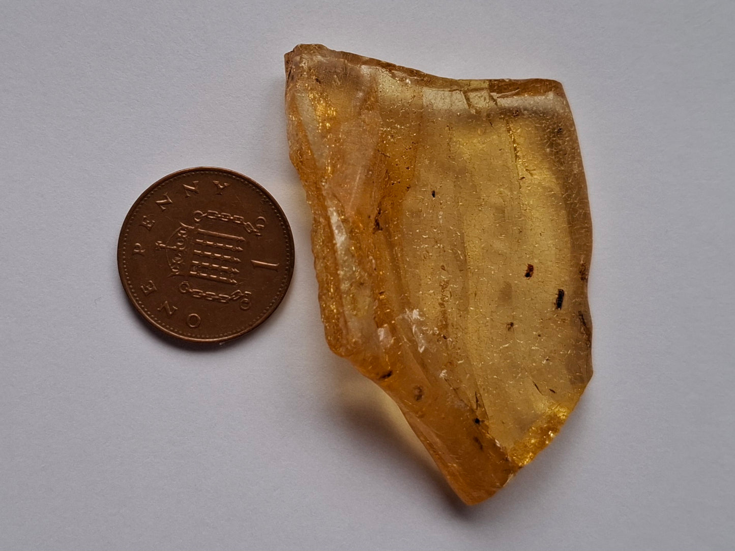 Copal Young Amber with INSECTS inside, 6.42g, Fossil (Ref: CA38)