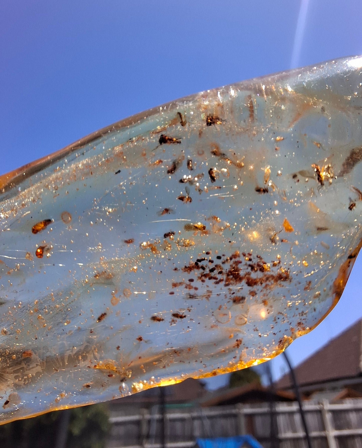 Copal Young Amber with INSECTS inside, 28.43g, Fossil (Ref: CA10)