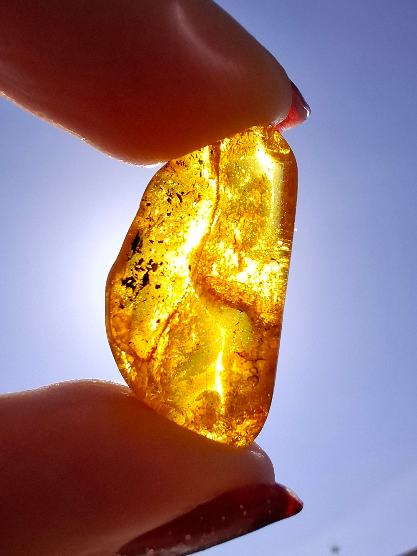 Baltic Amber, 1.39g, Fossil (Ref: A181)