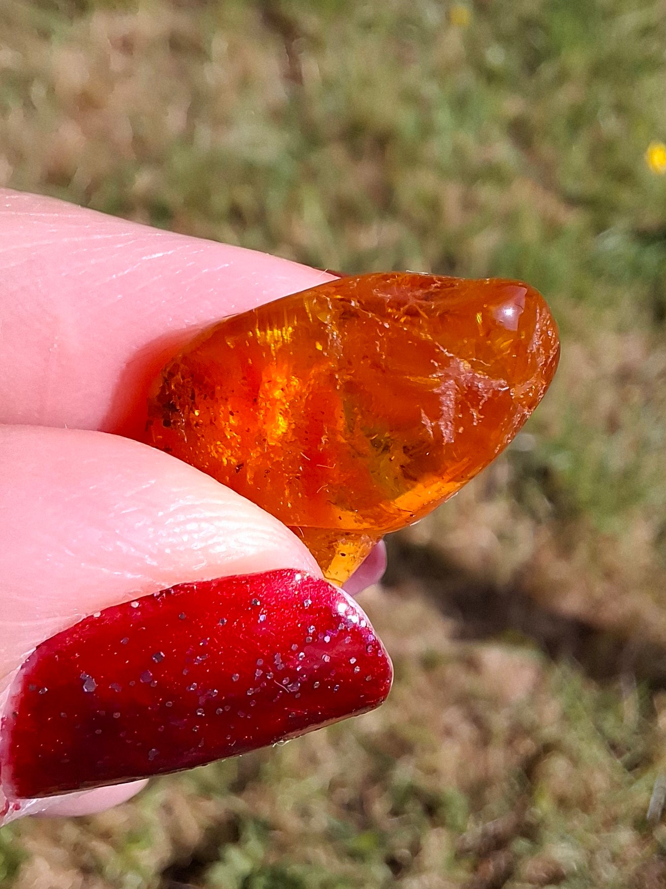 Baltic Amber, 1.39g, Fossil (Ref: A181)