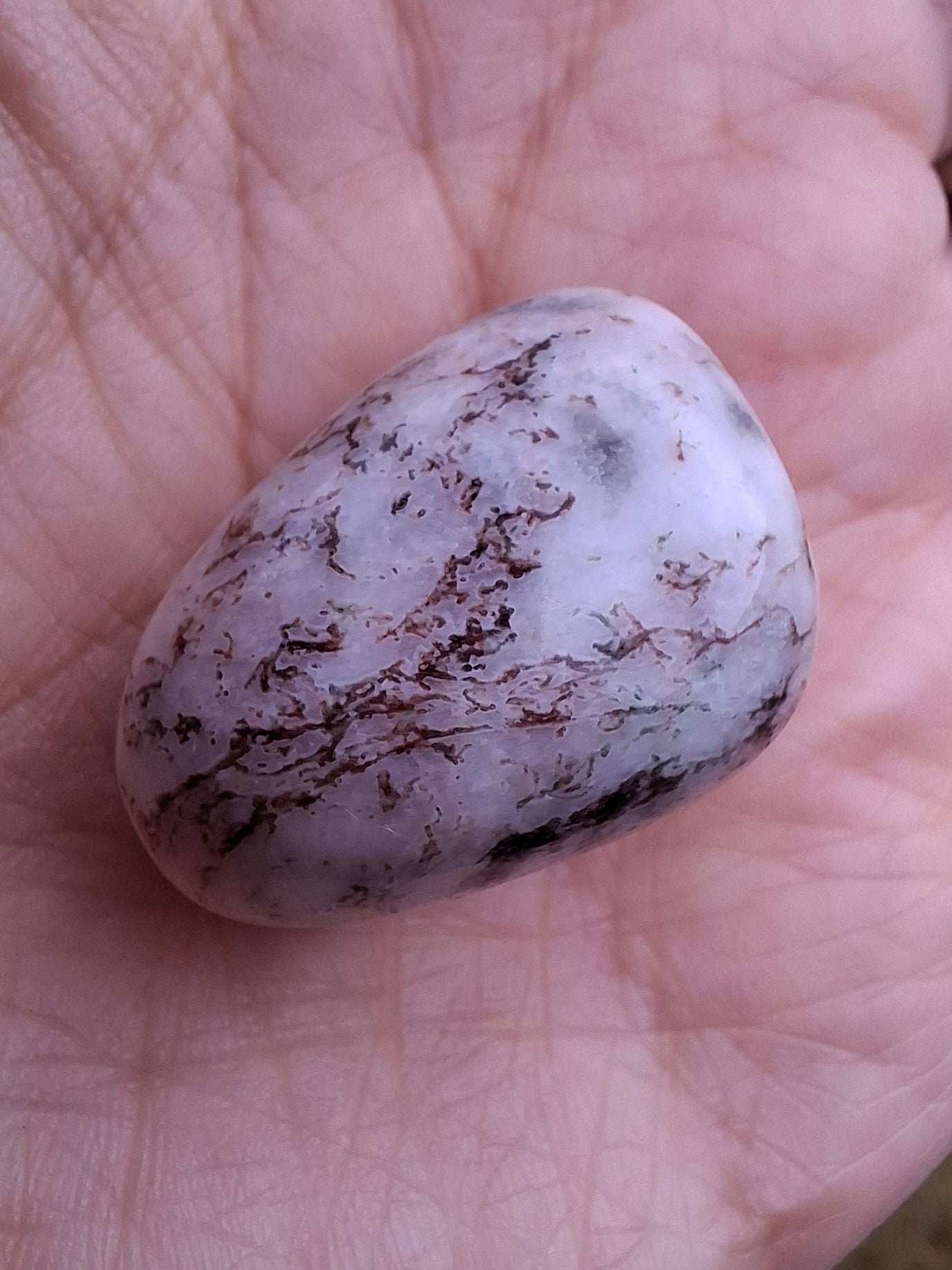 Tree Agate, Tumble Stone, Crystal (Ref: T6)
