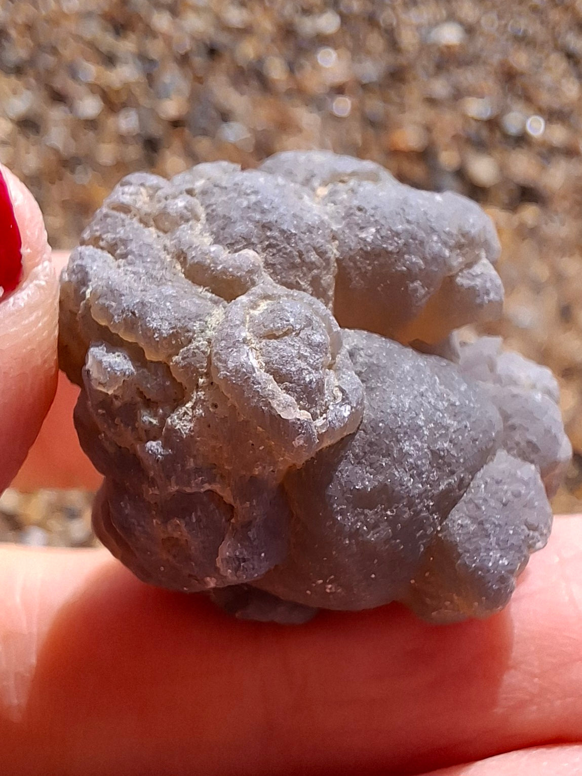 Nebula Chalcedony, 16.57g, Fossil (Ref: NC10)