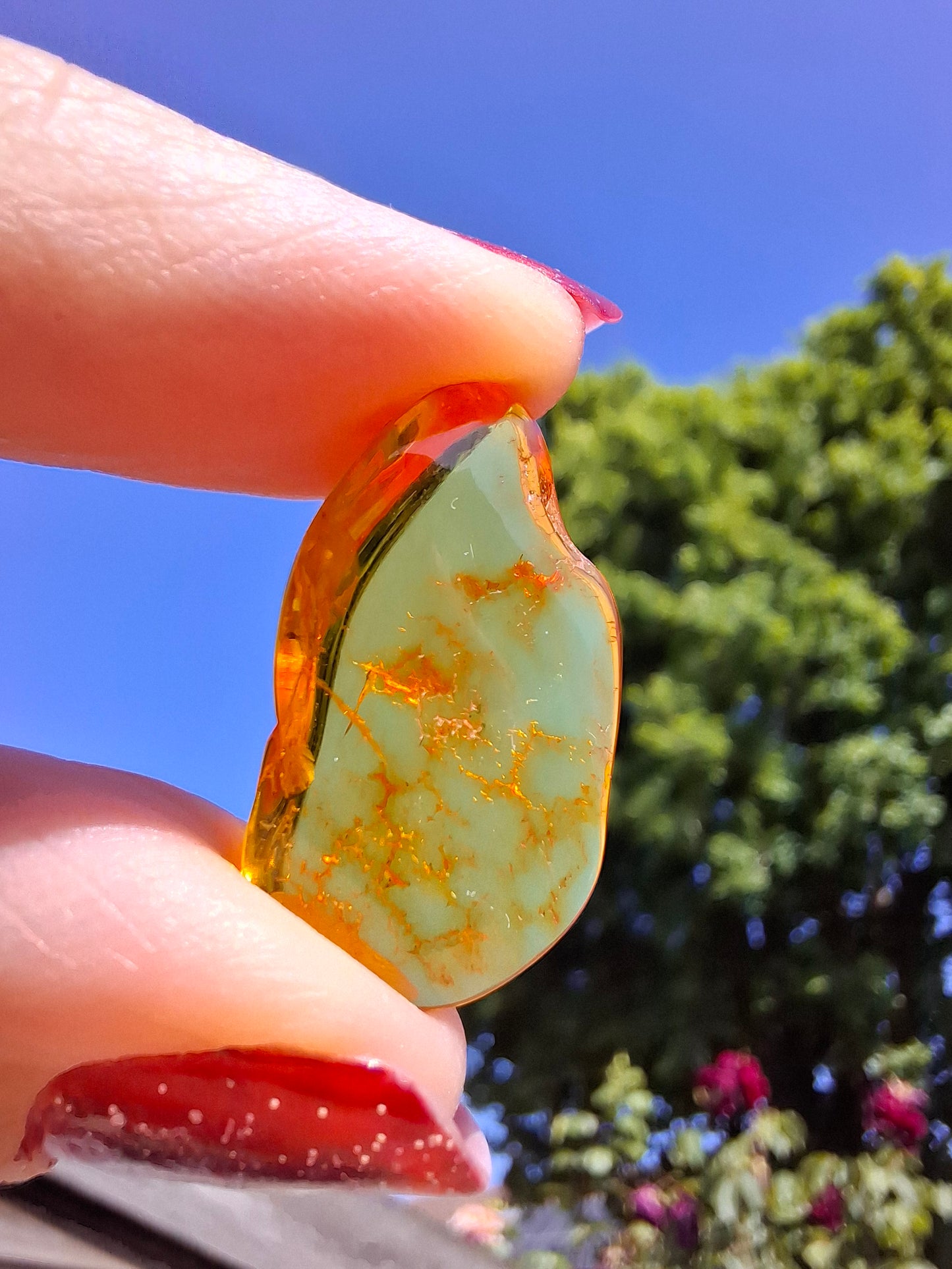 Baltic Amber, 1.16g, Fossil (Ref: A126)