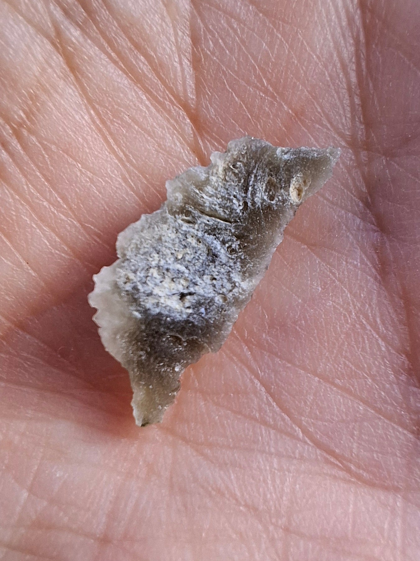 Moldavite Piece, SNOWFLAKE, FROSTED, BRUSNA, Tektite (Ref: 1491)