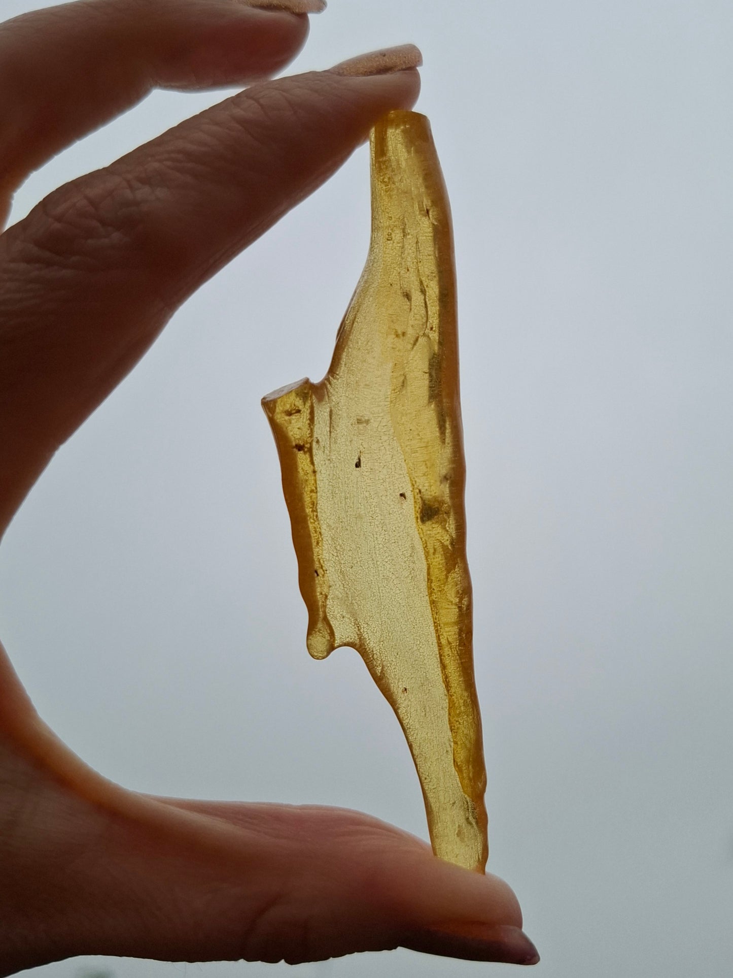Copal Young Amber with INSECTS inside, 10.79g, Fossil (Ref: CA14)