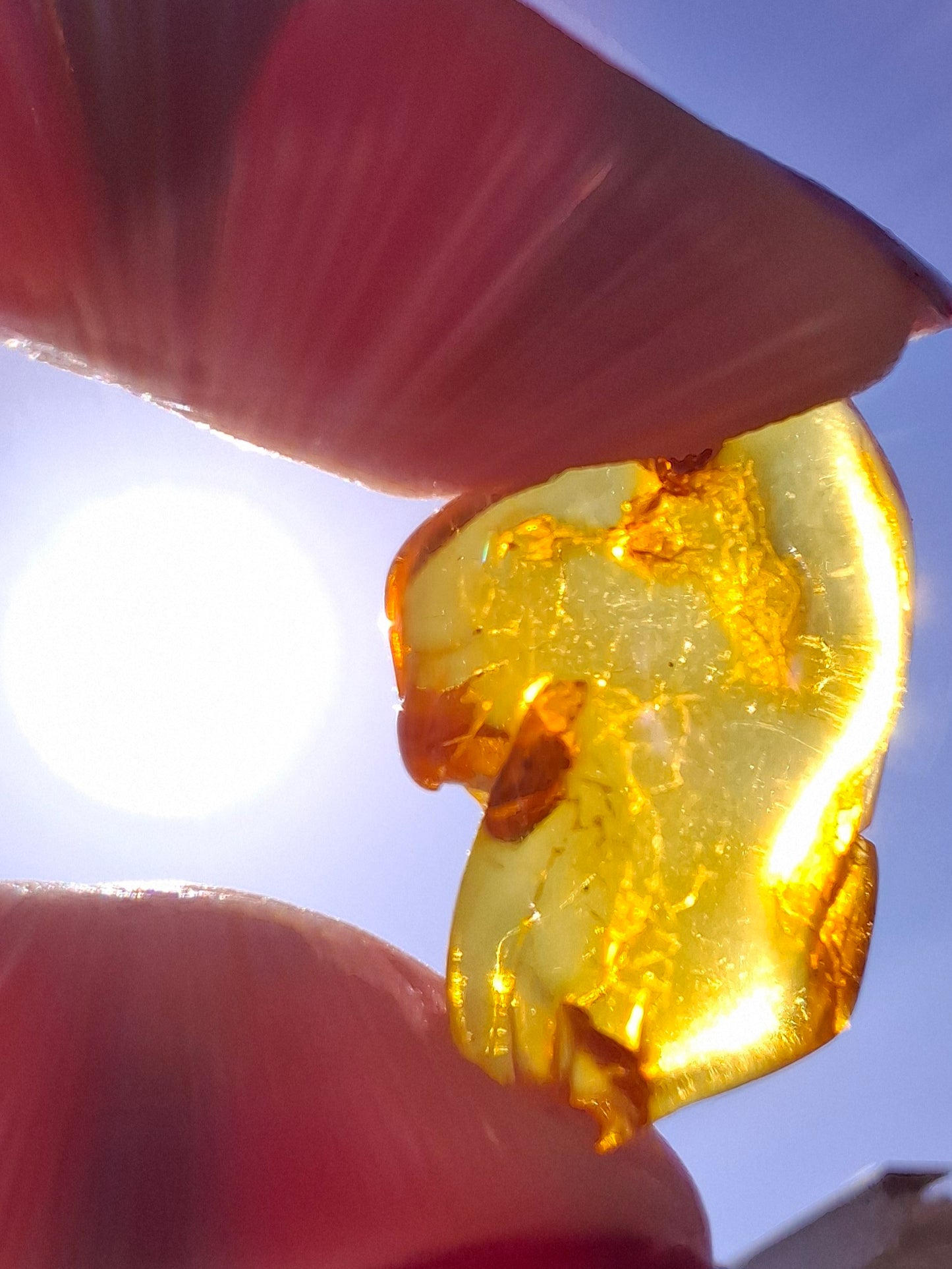 Baltic Amber, 1.31g, Fossil (Ref: A234)