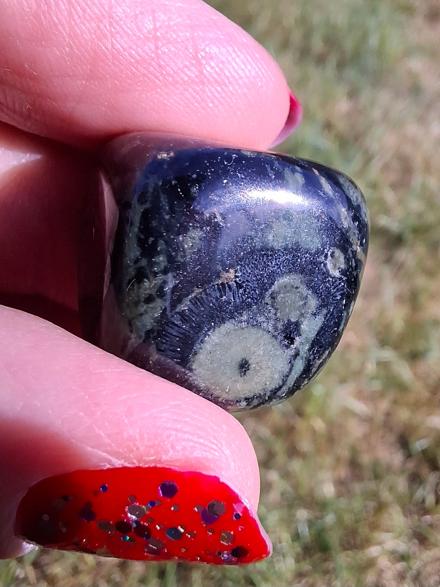 Kambaba Jasper, Tumble Stone, Crystal (Ref: T160)