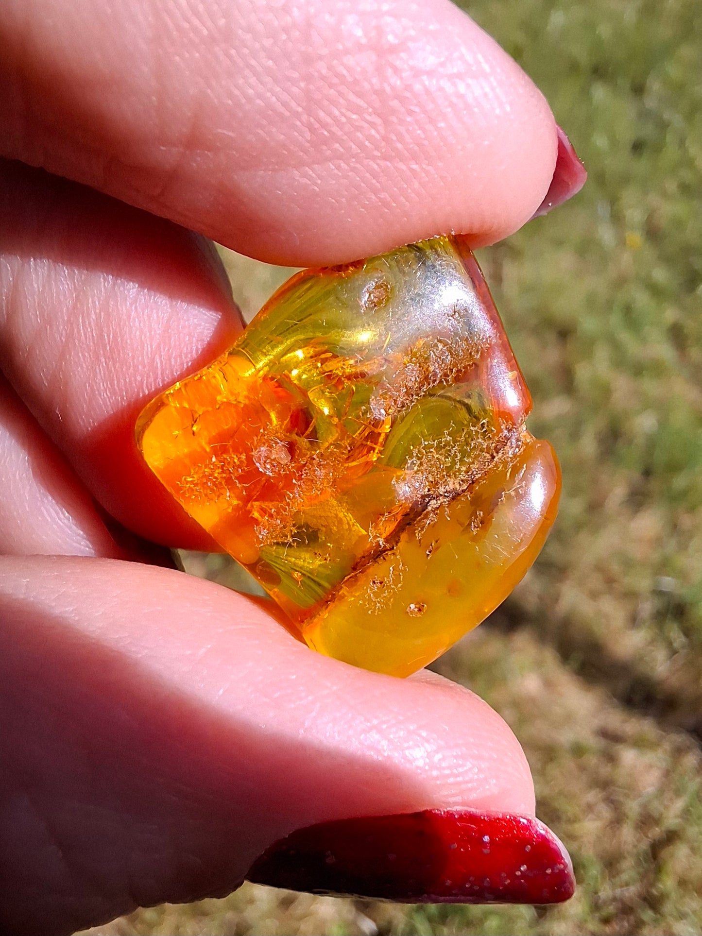 Baltic Amber, 1.51g, Fossil (Ref: A236)