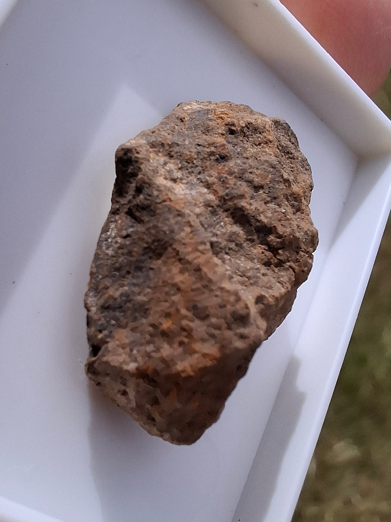 Chondrite, Meteorite (Ref: CM7)