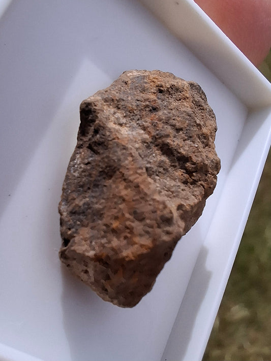 Chondrite, Meteorite (Ref: CM7)